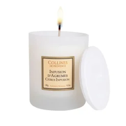 Fabrique de Styles Bougie parfumée Infusion d'Agrumes 40h* Bougies Parfumées