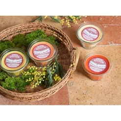 Fabrique de Styles Bougie senteur cannelle d12 - Bougie Gourmande* Bougies Parfumées