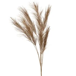 Fabrique de Styles Branchage pampa h75cm - Pampa* Fleurs Et Plantes Artificielles