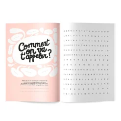 Fabrique de Styles Cahier de grossesse 9 mois à t’attendre* Livres