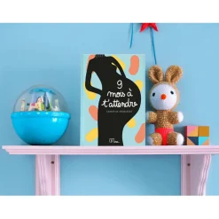 Fabrique de Styles Cahier de grossesse 9 mois à t’attendre* Livres