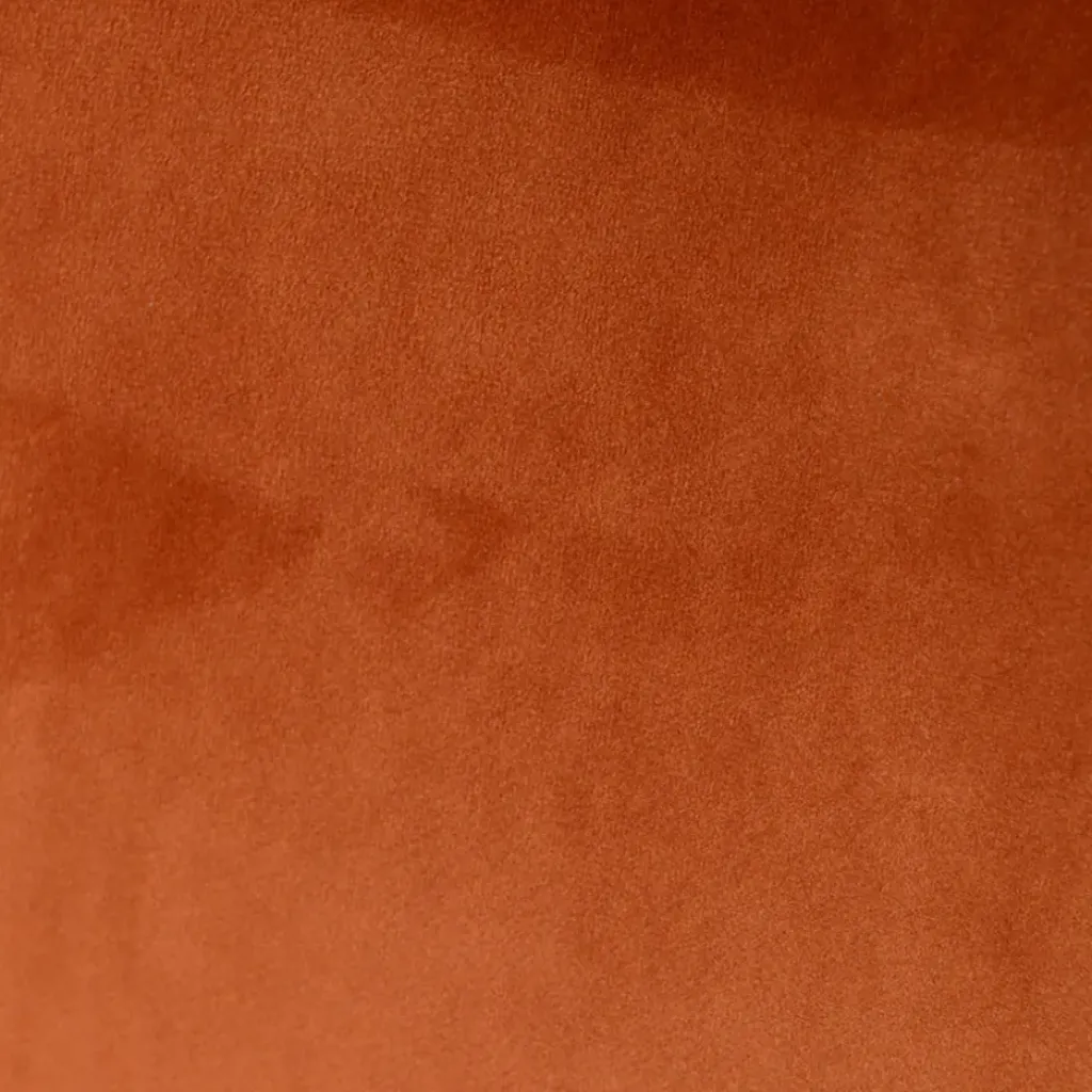 Fabrique de Styles Chaise de salle à manger en velours - Ben* Chaises