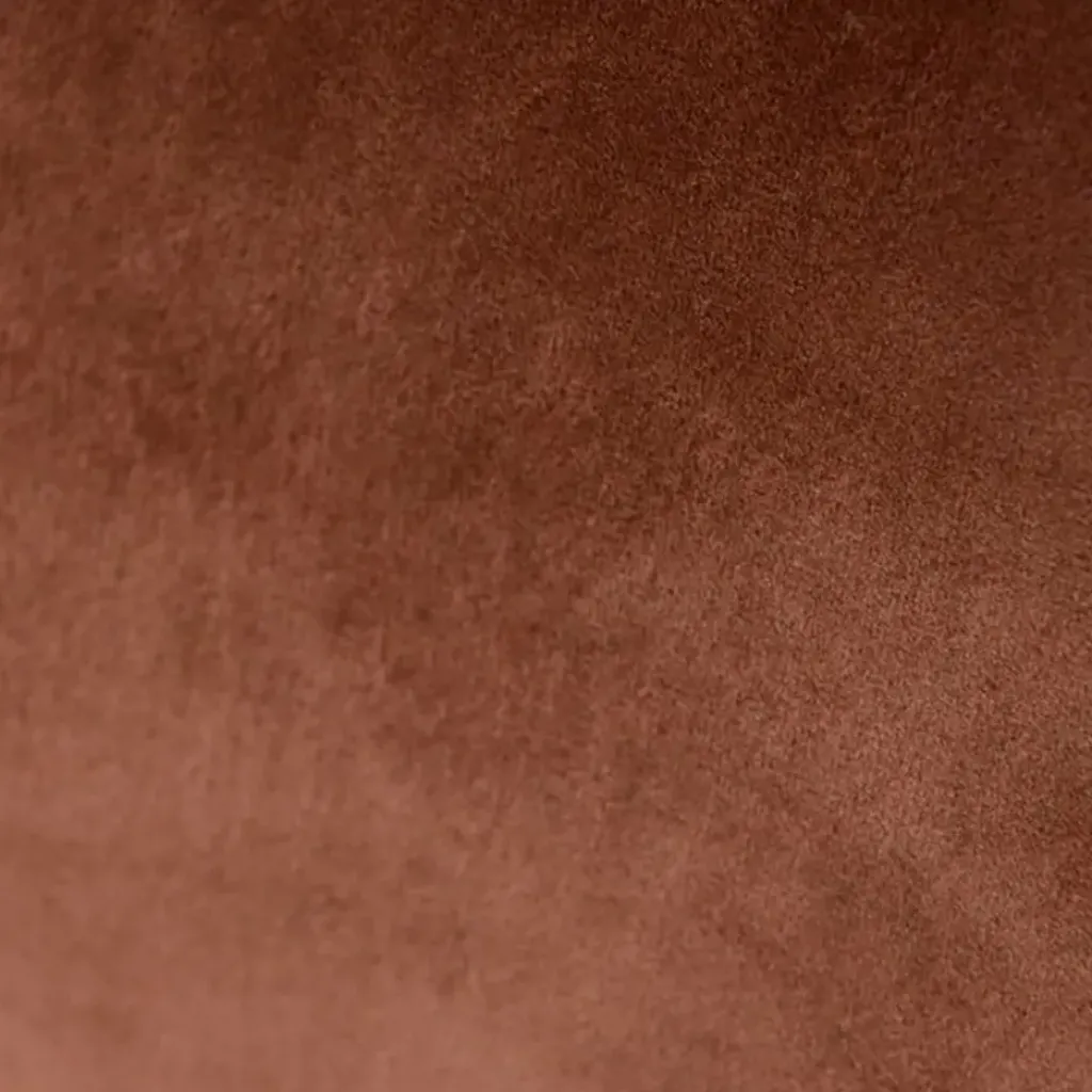 Fabrique de Styles Chaise salle à manger en velours - Ben* Chaises