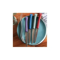 Fabrique de Styles Coffret de 4 couteaux de table multicolor - Opinel* Couverts