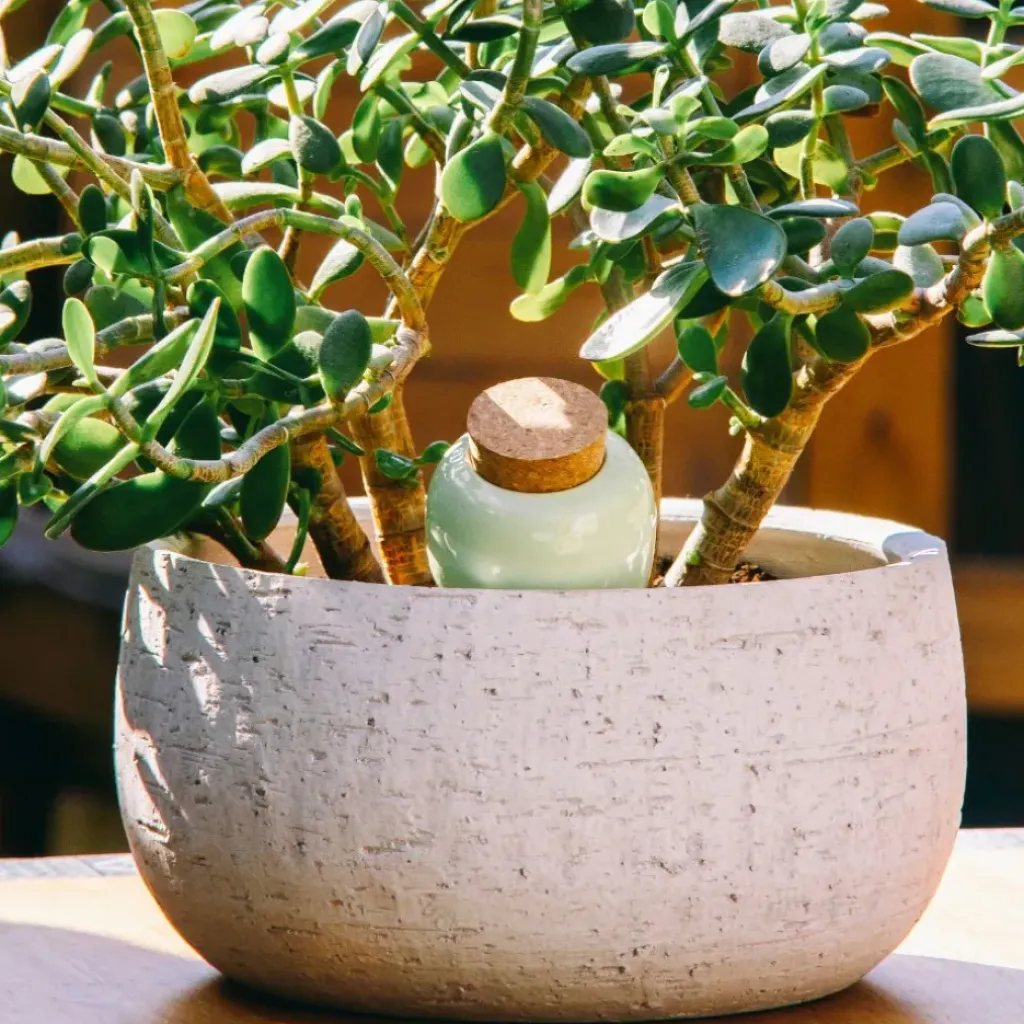 Fabrique de Styles Diffuseur d'eau en argile 25cl - Olla* Accessoires