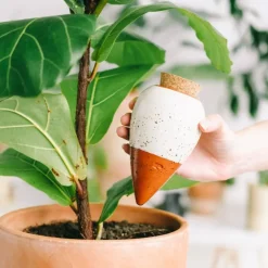 Fabrique de Styles Diffuseur d'eau en argile graine 25cl - Olla* Accessoires