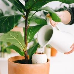 Fabrique de Styles Diffuseur d'eau en argile graine 25cl - Olla* Accessoires