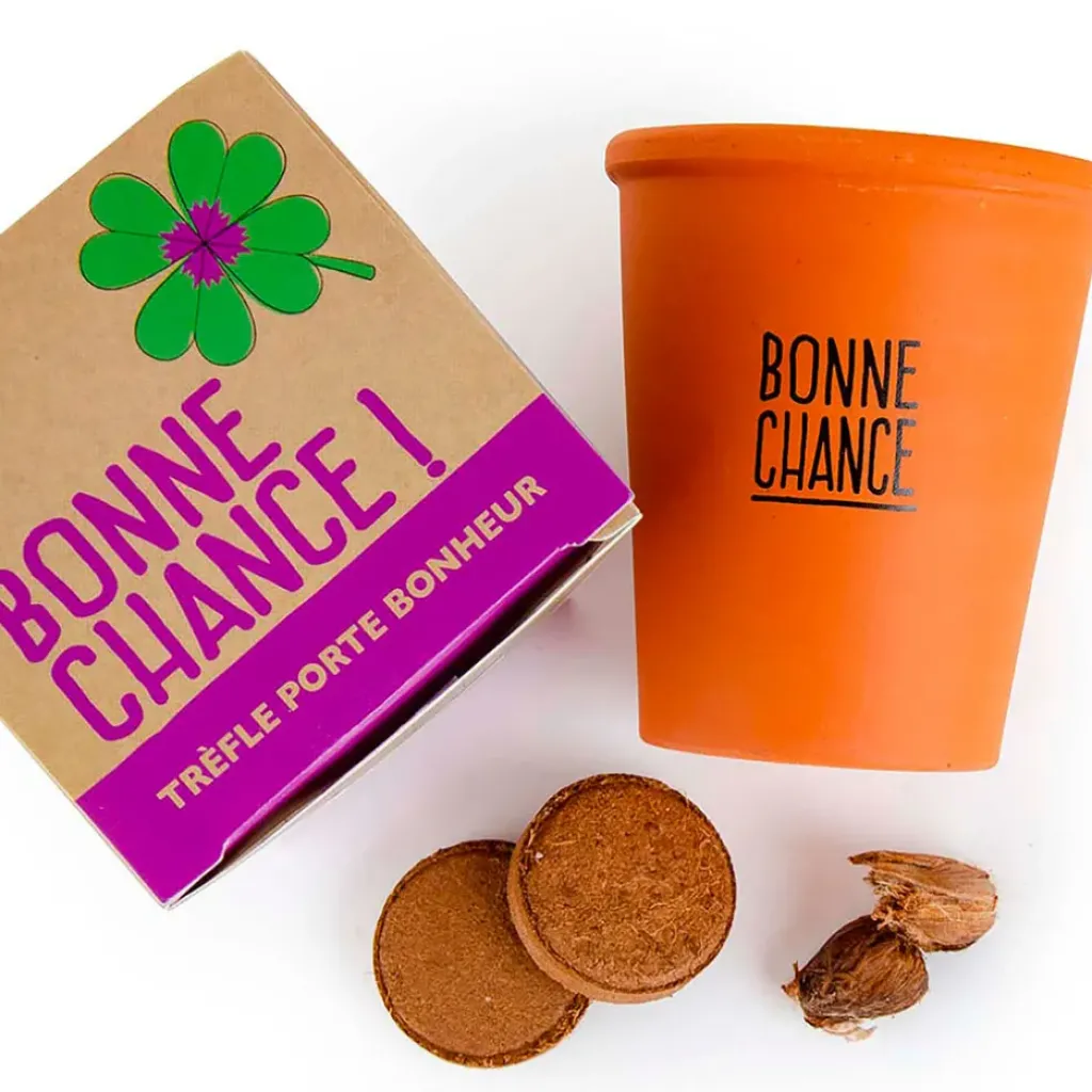 Fabrique de Styles Kit message bonne chance - trèfle à 4 feuilles* Prêt À Pousser