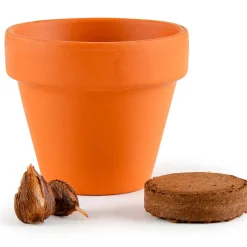 Fabrique de Styles Mini kit d6cm terre cuite trèfle 4 feuilles* Prêt À Pousser