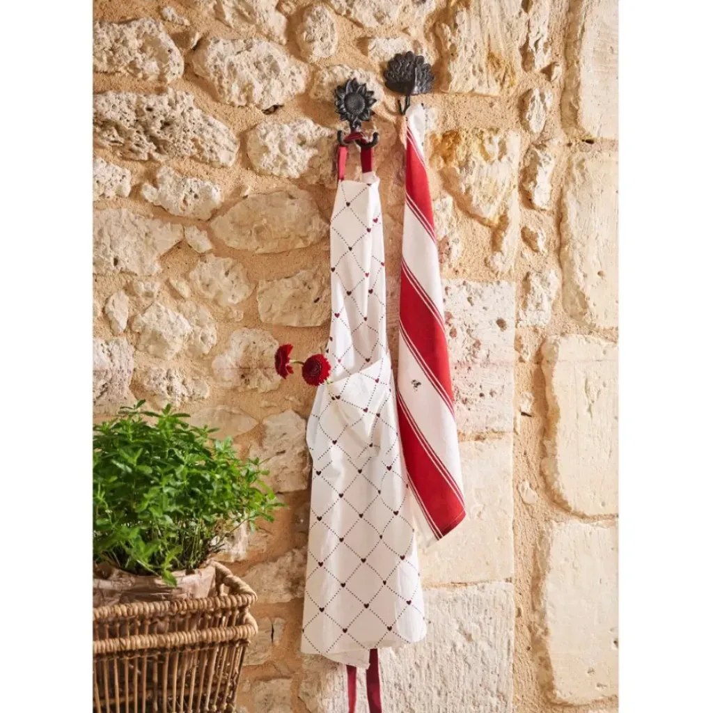 Fabrique de Styles Patère double paon en fonte* Patères