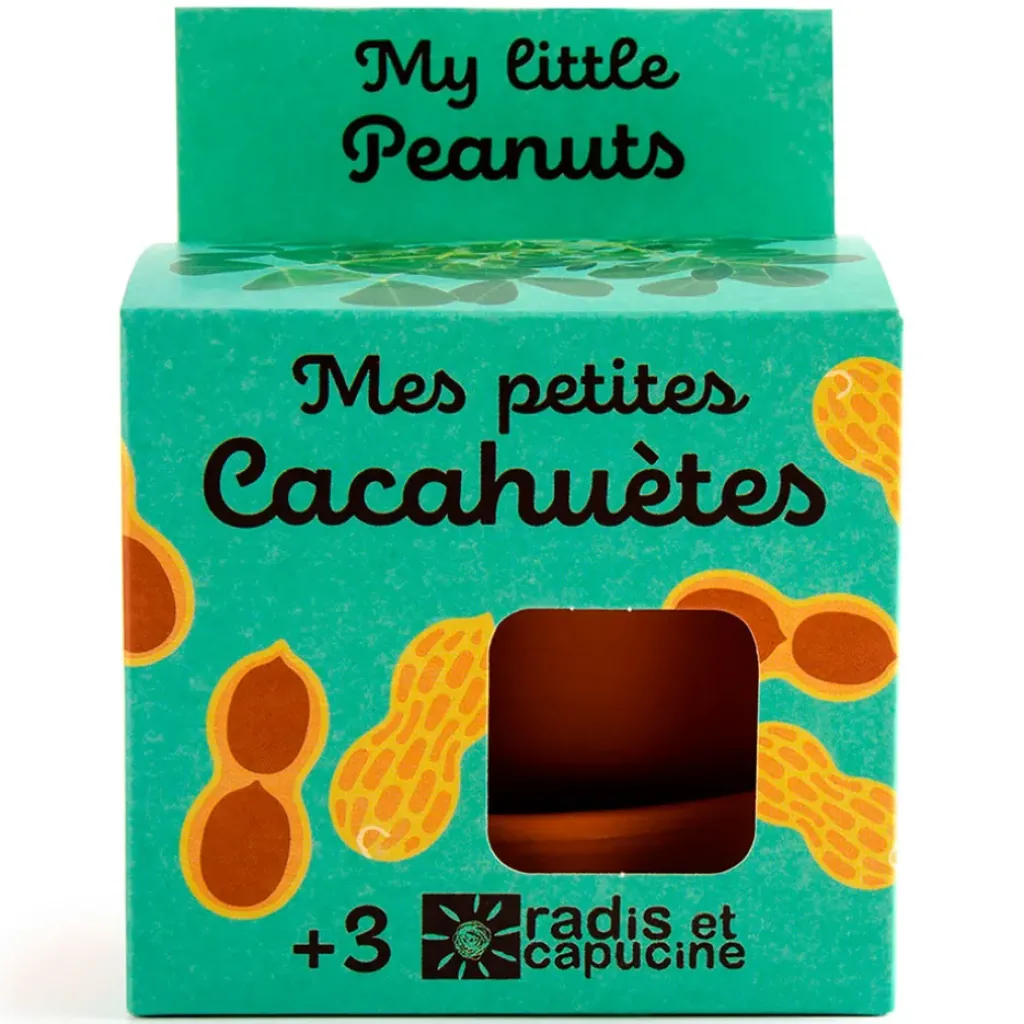 Fabrique de Styles Pot d8cm avec coupelle cacahuète* Prêt À Pousser