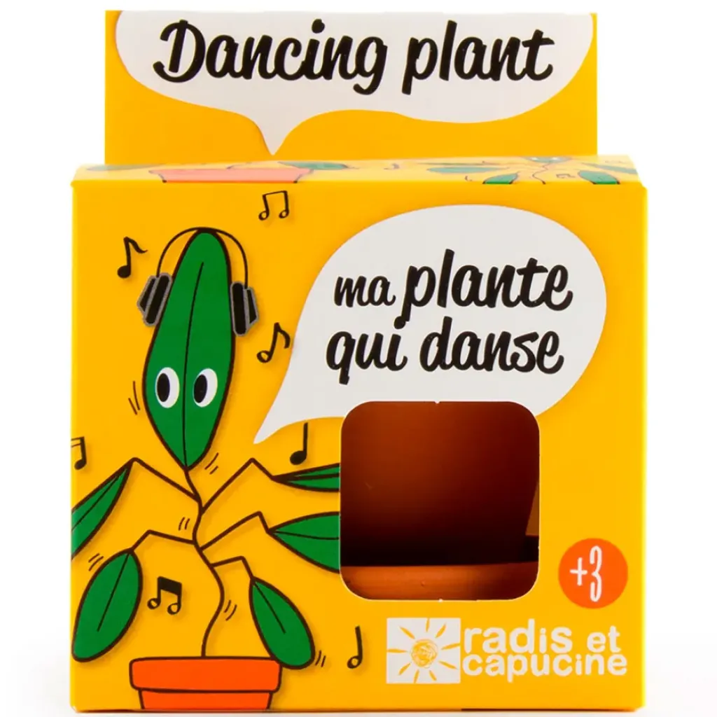 Fabrique de Styles Pot d8cm avec coupelle plante qui danse* Prêt À Pousser