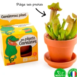 Fabrique de Styles Pot d8cm avec coupelle plantes carnivores* Prêt À Pousser