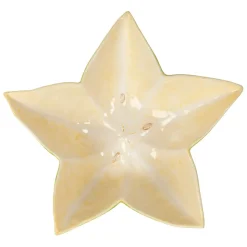 Fabrique de Styles Saladier étoile de mer en dolomite vert et jaune d28cm* Plats Et Saladiers