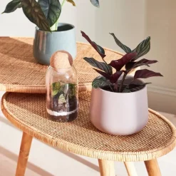 Fabrique de Styles Table basse gigogne (lot de 2) en rotin - Tamba* Table Basses