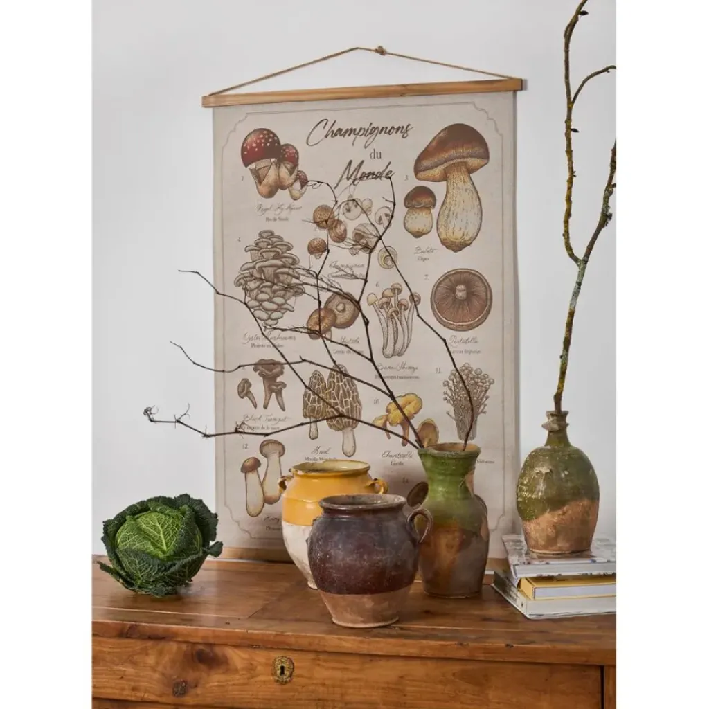 Fabrique de Styles Toile "encyclopédie champignon" 77x110cm* Tableaux Et Toiles