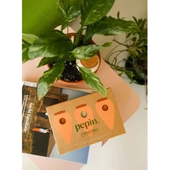 Fabrique de Styles Trio mini diffuseur d'eau en argile : 2 terracotta et 1 blanc graine - Olla* Accessoires